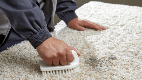 Professional Rug Cleaning Belgrave South