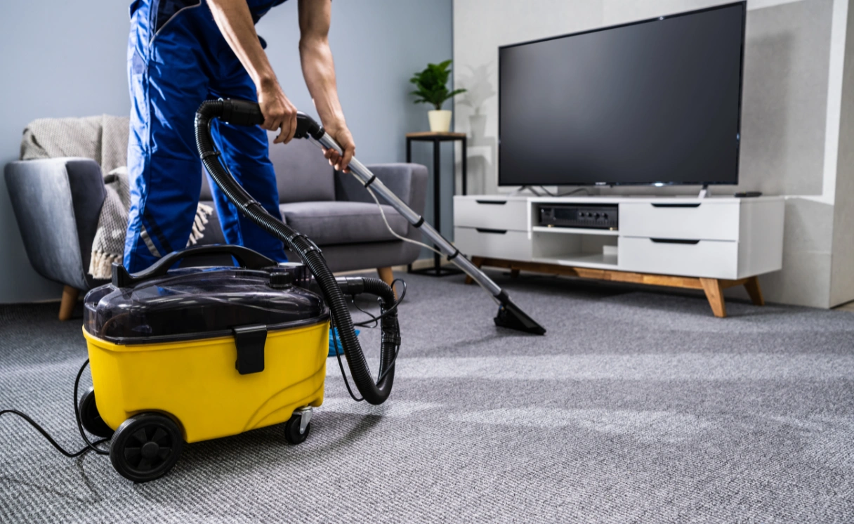 Extract Rug Cleaning Belgrave South Contact Office